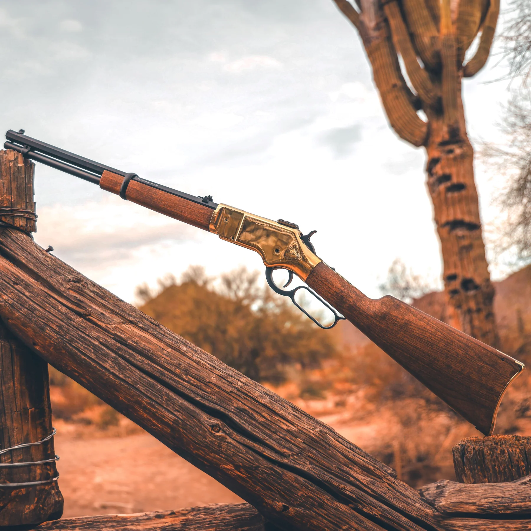 Barra 1866 Lever Action CO2 Air Rifle 11 The Barra 1866 CO2 Lever Action Air Rifle with a wooden stock and brass receiver sits on a rustic fence in the desert, surrounded by cacti.